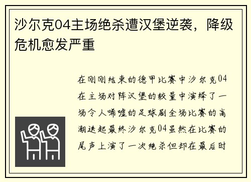 沙尔克04主场绝杀遭汉堡逆袭，降级危机愈发严重