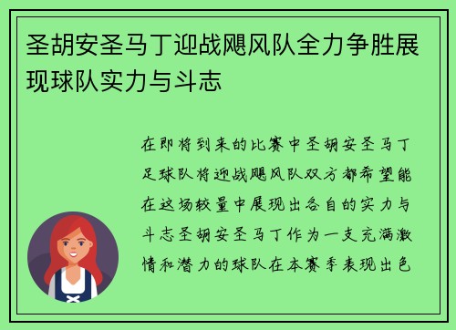 圣胡安圣马丁迎战飓风队全力争胜展现球队实力与斗志